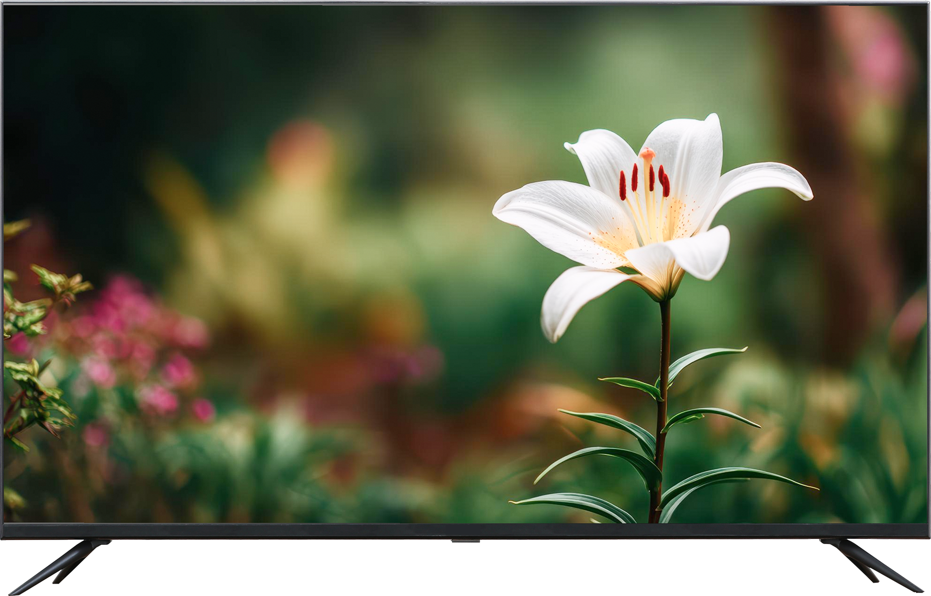 LED TV 